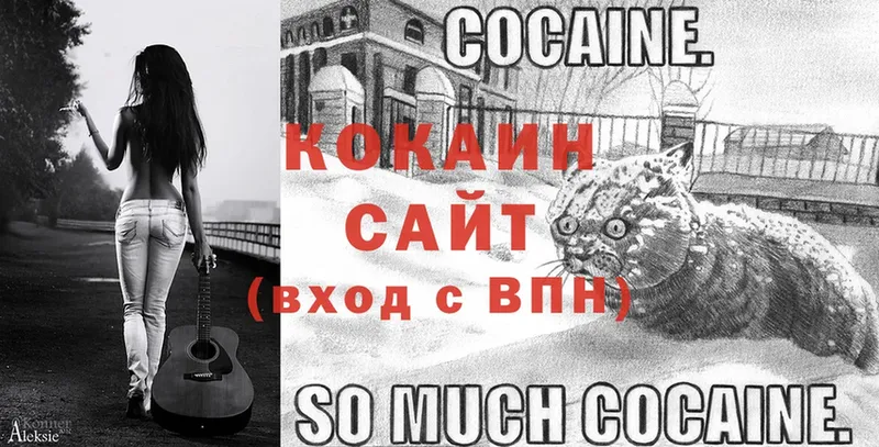 Cocaine Боливия  Курган 